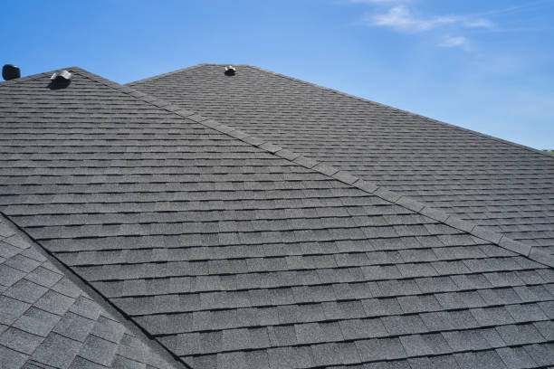 Best Roof Leak Repair  in Dorothy, NJ