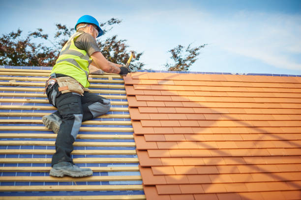 Best Commercial Roofing Services  in Dorothy, NJ